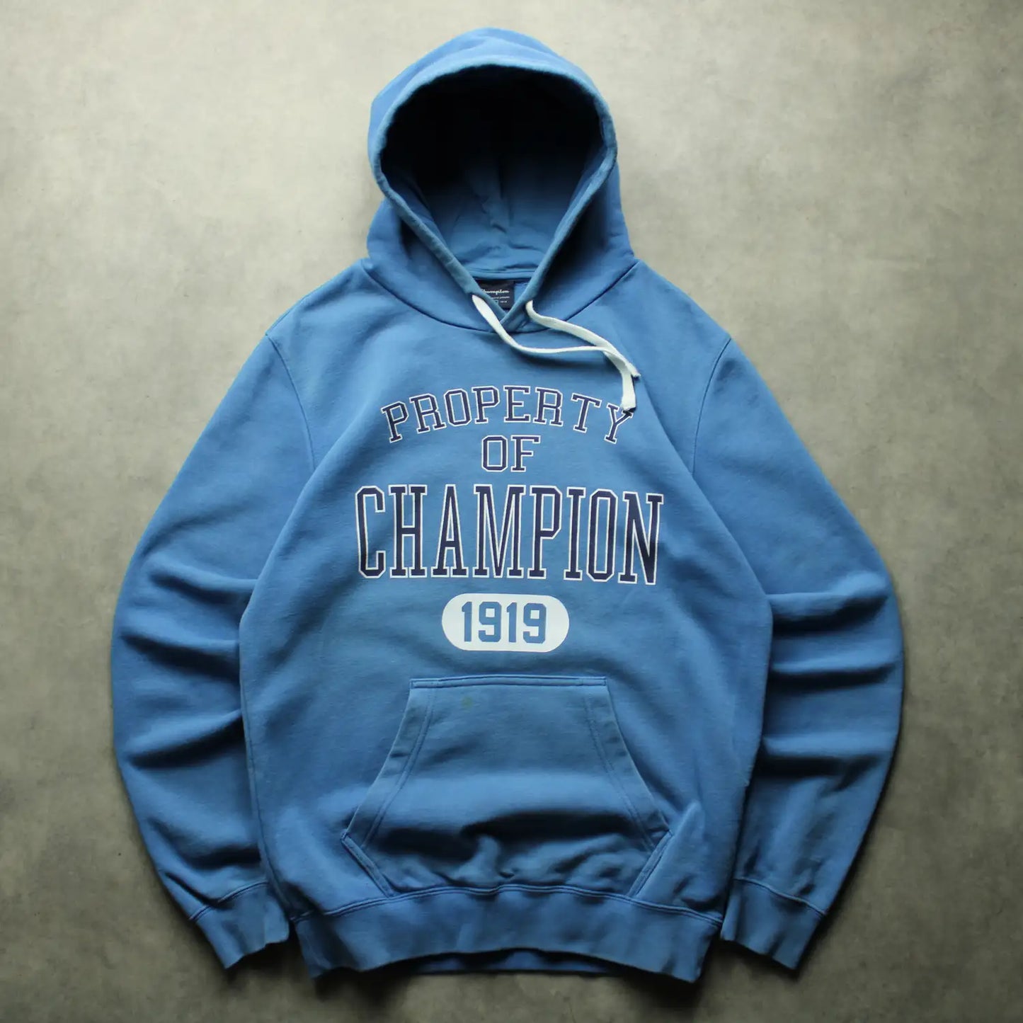 Champion Printed Hoodie – Blue (Man-M)