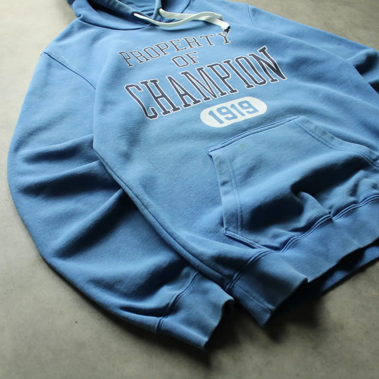 Champion Printed Hoodie – Blue (Man-M)