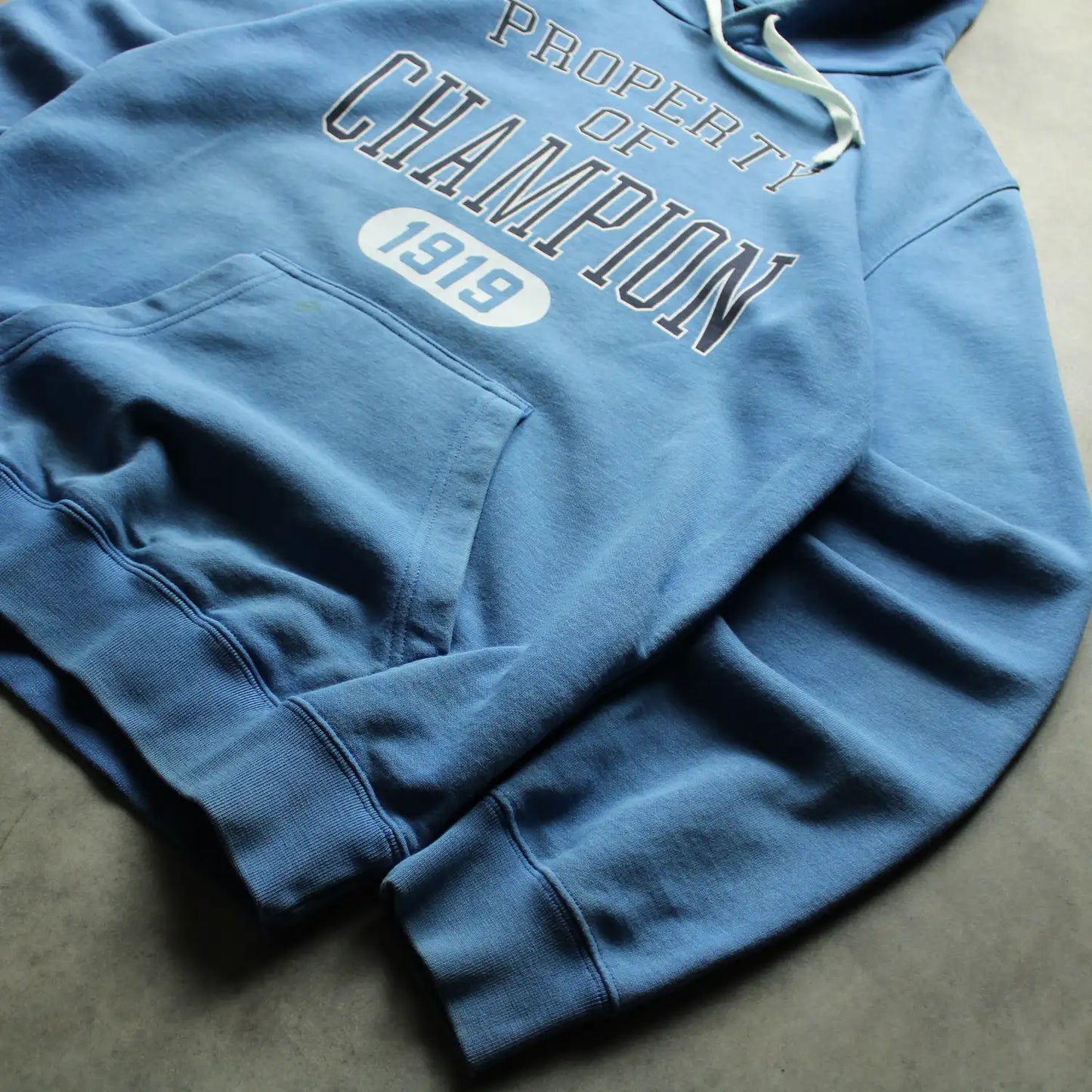 Champion Printed Hoodie – Blue (Man-M)