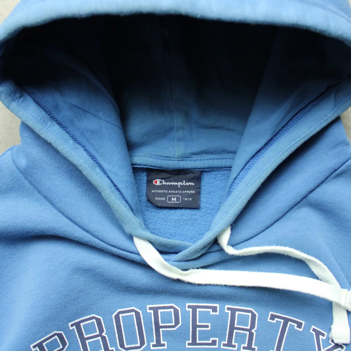 Champion Printed Hoodie – Blue (Man-M)