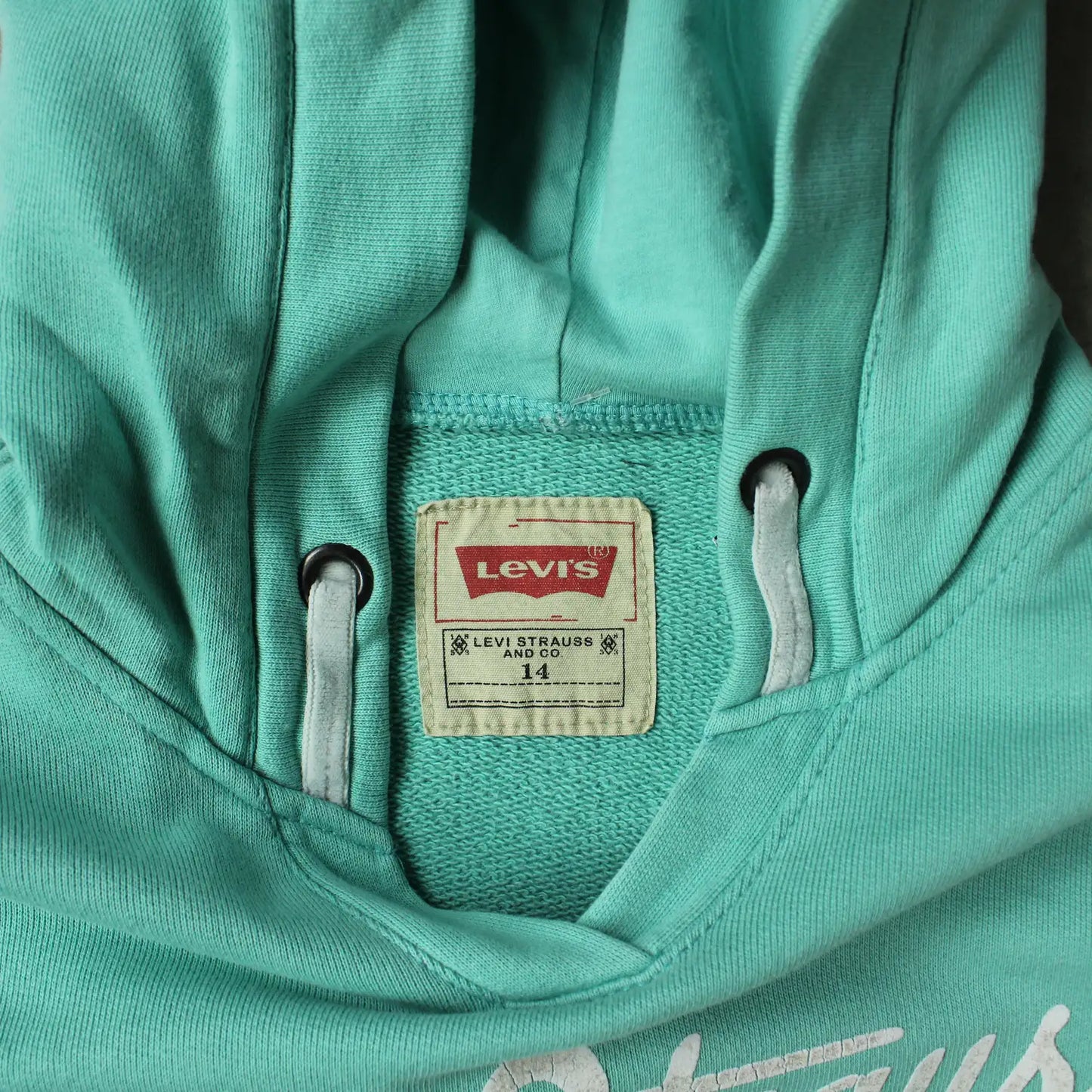 Levi’s Printed Hoodie – Mint (Woman-M)